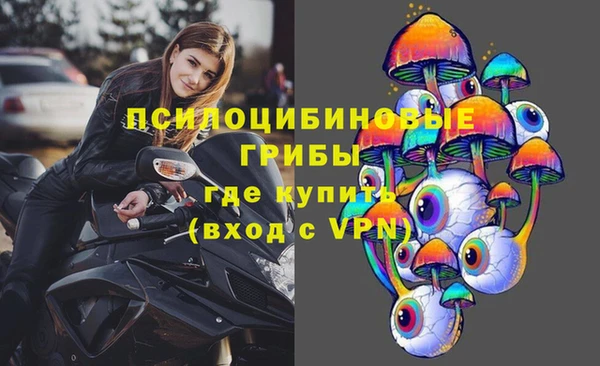 mdpv Волоколамск