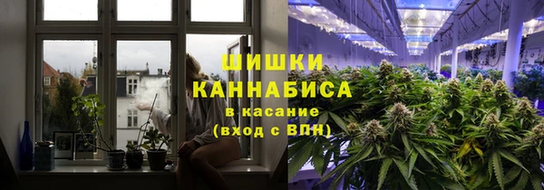 mdpv Волоколамск